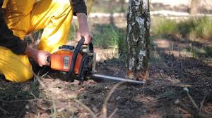 Best Lawn Watering Services  in Haskell, TX