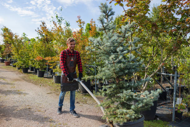 Haskell, TX Tree Services Company